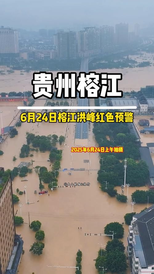 2022年10月8日洪湖新增确诊病例情况_68080