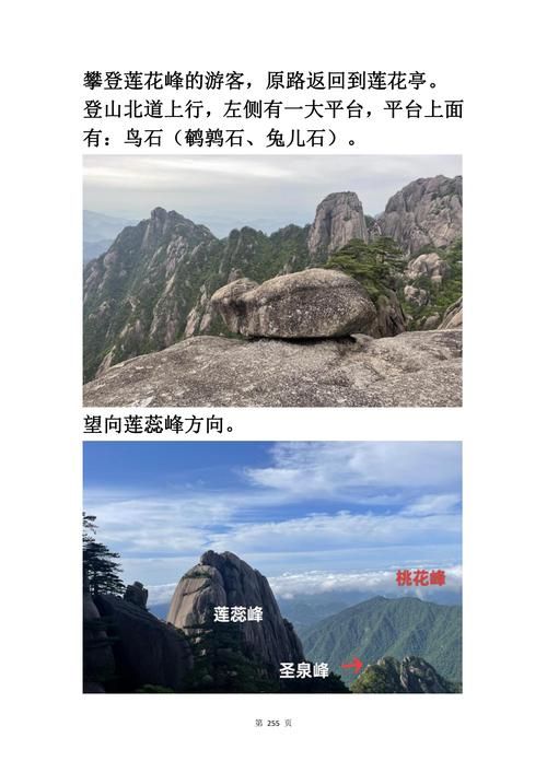 黄山脚下：景区门户的防疫压力与地理屏障_52155