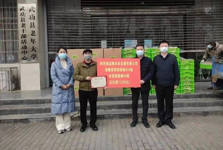 武功县疫情观察:关中平原交通枢纽的防控压力测试