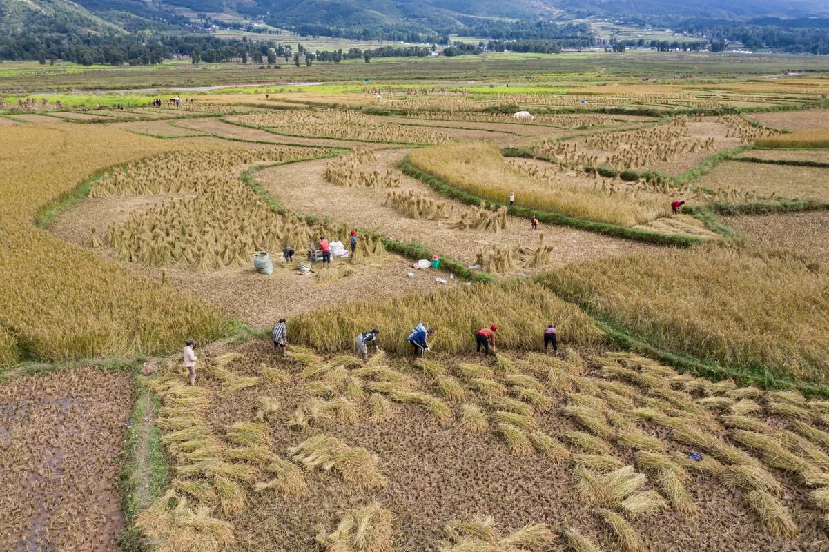 昭觉县:大凉山腹地的防疫坚守与地理屏障