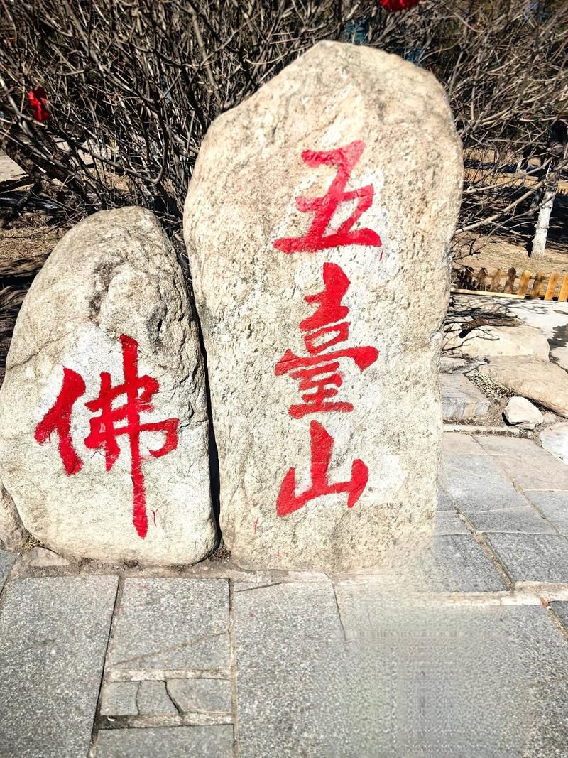 五台县:佛教名山屏障下的本土零感染坚守