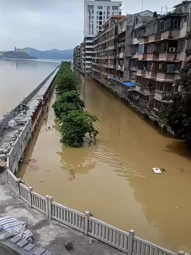 禹王台区：古城墙下的疫情防波堤