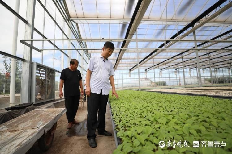 高唐县：鲁西平原上的防疫压力与地理屏障
