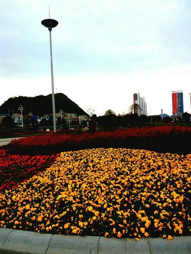 平坝：黔中腹地交通枢纽的疫情防线与破防时刻_74203