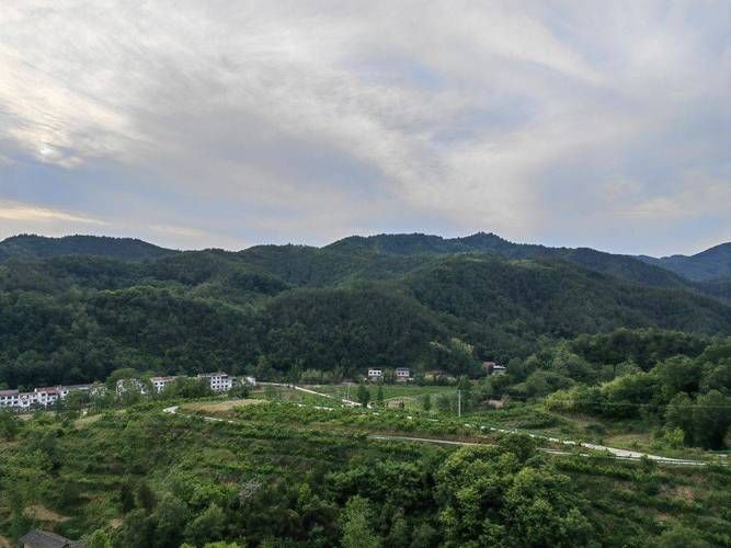 镇坪:秦巴山区的零感染孤岛如何筑成?
