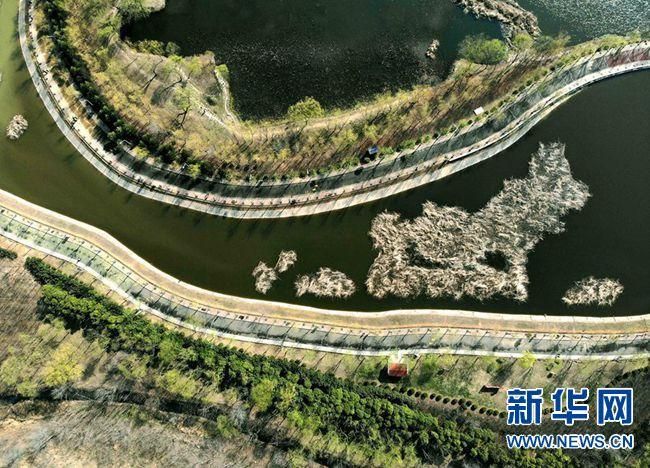 平顶山市区疫情:中原枢纽的防控压力与地理屏障