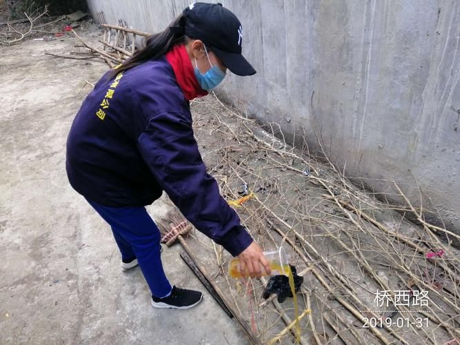 白山市市辖区新增1例无症状感染者 白山市市辖区疫情防控最新通报_68434