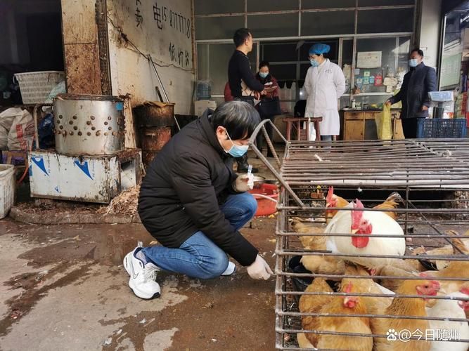随州市新增1例无症状感染者 随州市疫情防控最新通报_45448