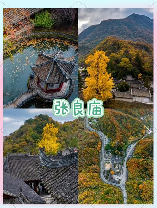 秦岭腹地的留坝:低感染率背后的地理屏障与精准防控