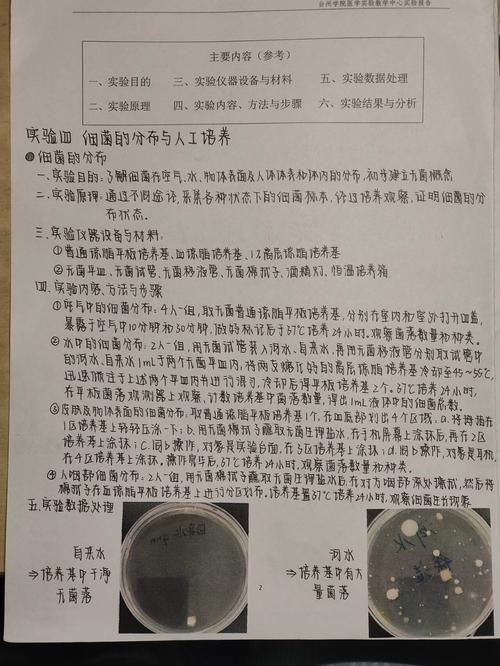 山东阳信：鲁北平原的零感染记录与地理屏障下的防疫实践