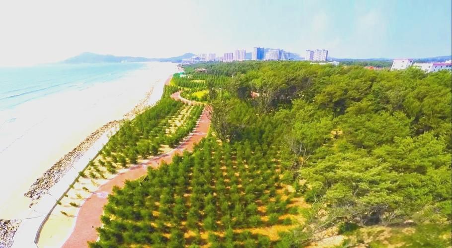 福建沿海屏障与内陆山区的双重防疫考_69718