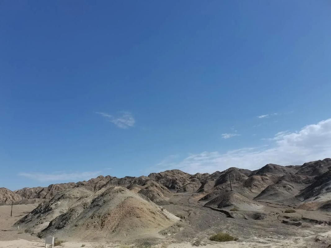 【库尔勒:塔里木盆地腹地的防疫屏障与破防时刻】