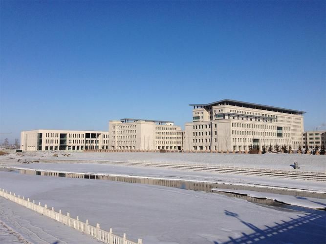 双鸭山疫情观察：寒地煤城的防疫地理学