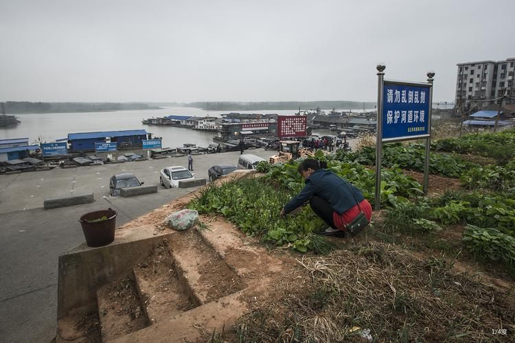 洞庭湖城防疫纪实：江湖枢纽的疫情压力测试