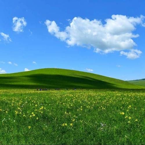 张北草原的防疫屏障:高海拔与低密度的物理防线
